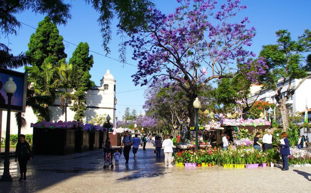 Pimenta Funchal Downtown Διαμέρισμα Εξωτερικό φωτογραφία